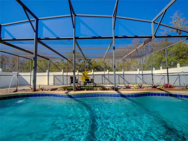 Pool and Backyard