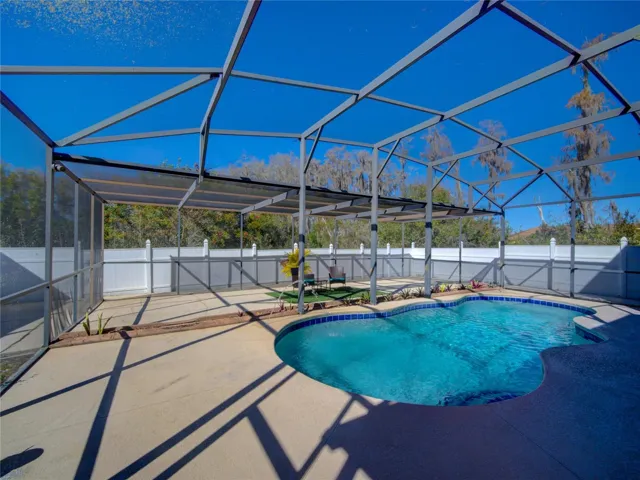 Pool and Backyard