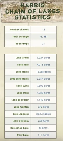 From Your backyard, you can access the largest chain of lakes in the state of Florida