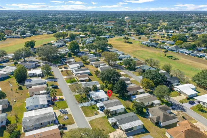 Your Neighborhood of Orange Blossom