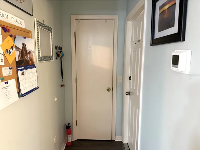 Pantry Closet and Door to Garage