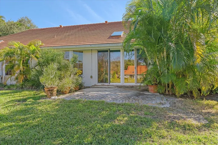 Palms compliment the back paver patio