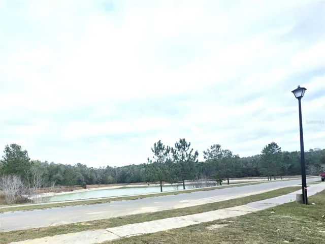 VIEW FROM FRONT OF LOT