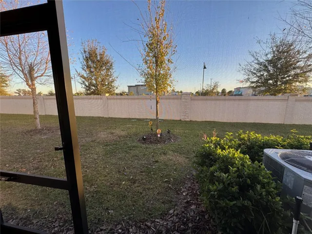 Backyard