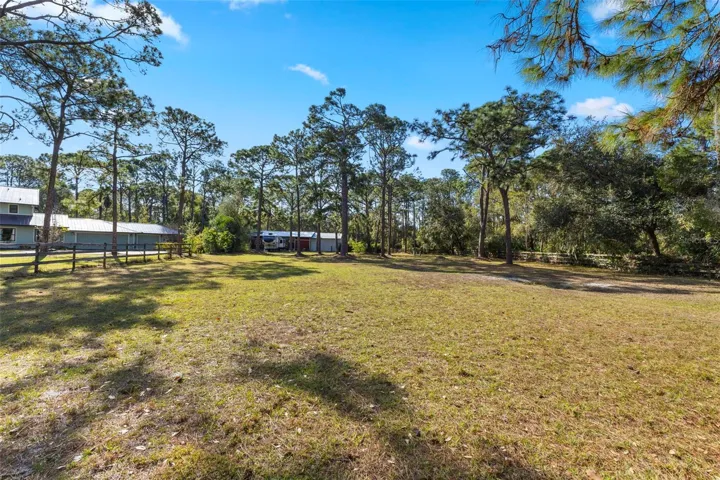 Horse Paddock