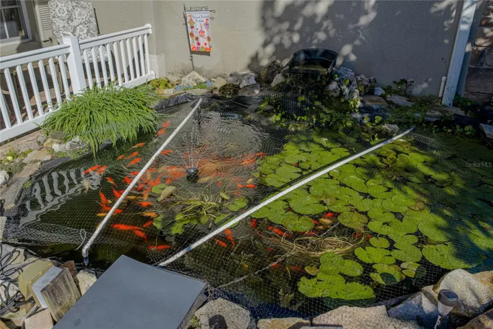 The Koi pond at the front entrance has been designed for easy maintenance. The mesh cover deters the area birds from enjoying a snack.