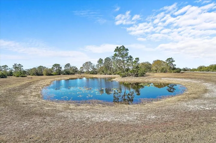 wait for the spring rains, the pond will fill back up and the fish will be biting
