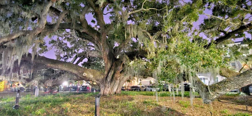 Downtown Safety Harbor