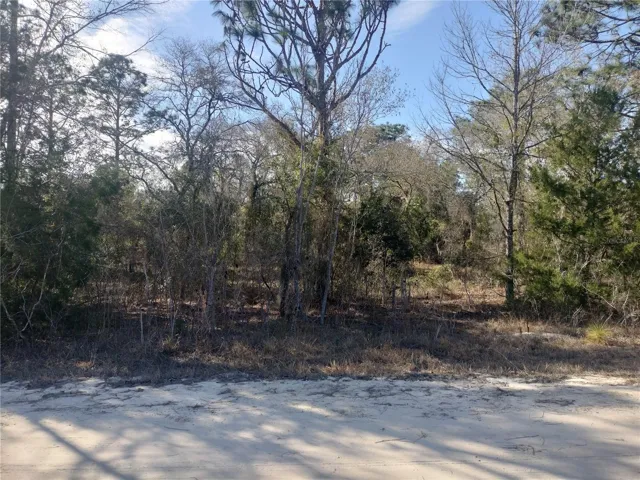 Front of Lot
