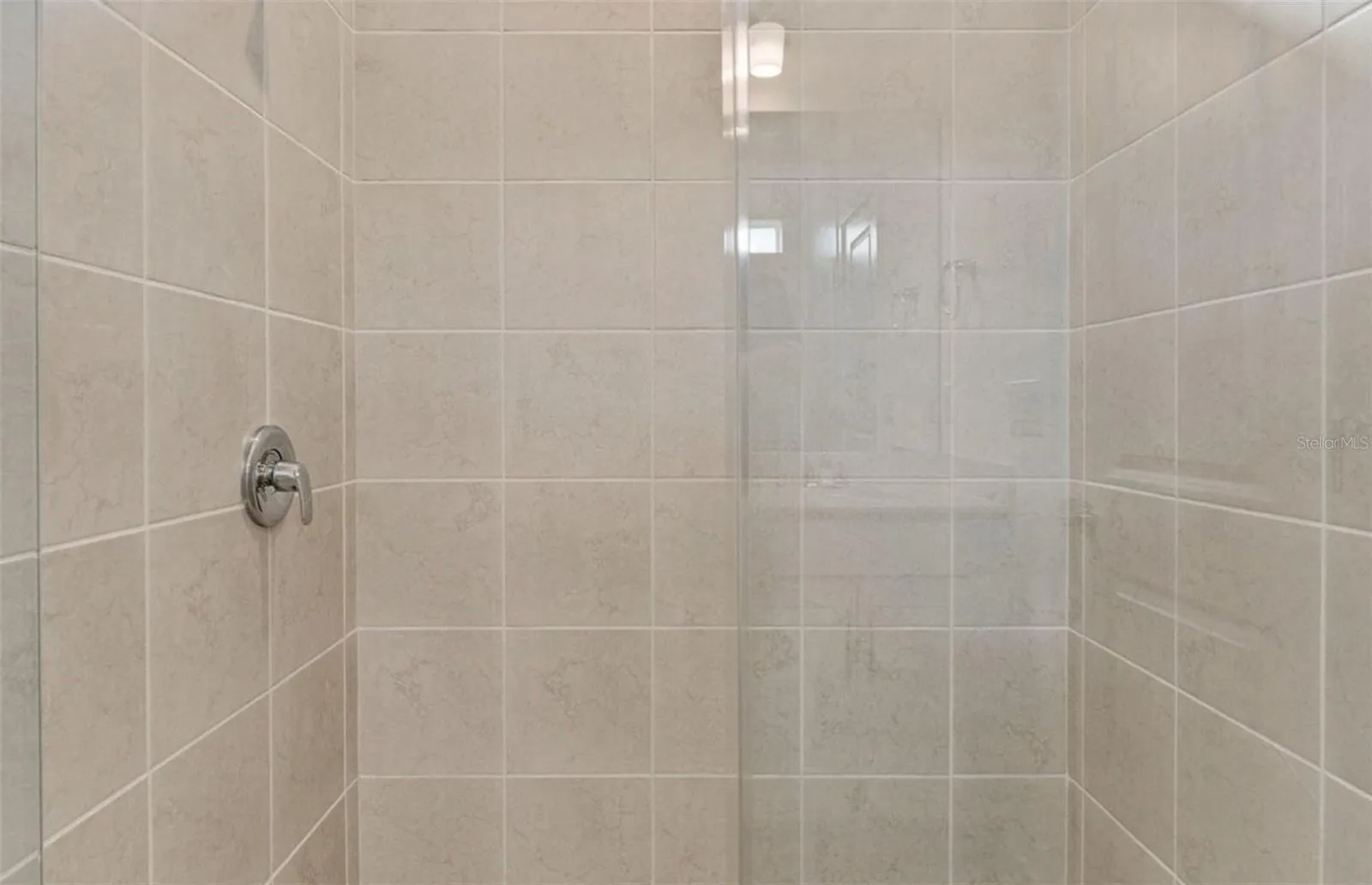 Owner's Walk-in Shower