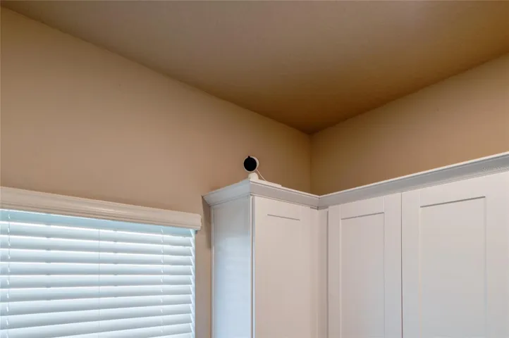 Security Camera in Kitchen