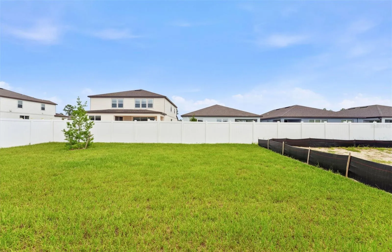 Spacious Backyard