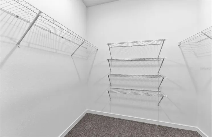 Owner's Walk-in Closet