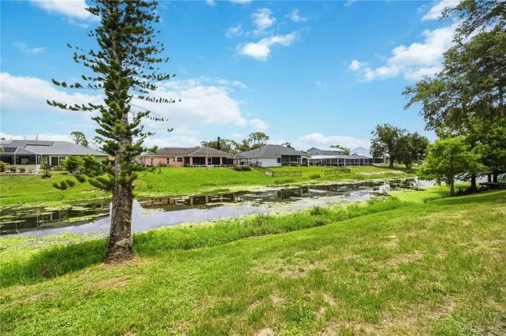 Waterfront Backyard