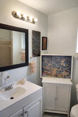 Primary Ensuite Bathroom with walk-in shower.