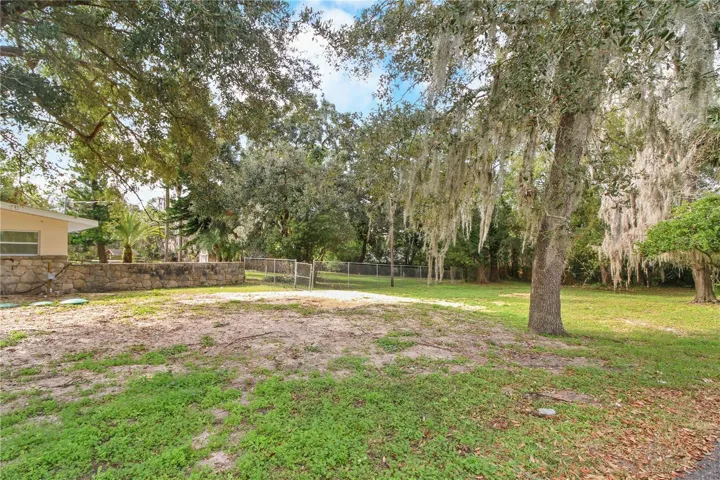 View of side yard