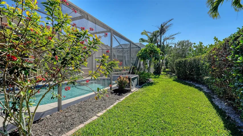 Backyard, hedge for privacy.