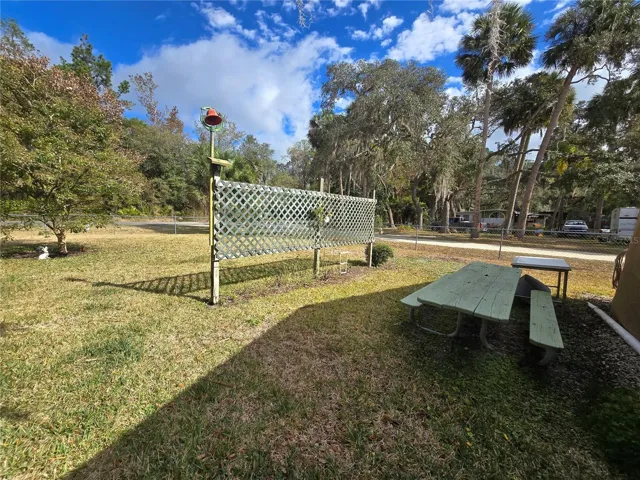 Left Side Yard