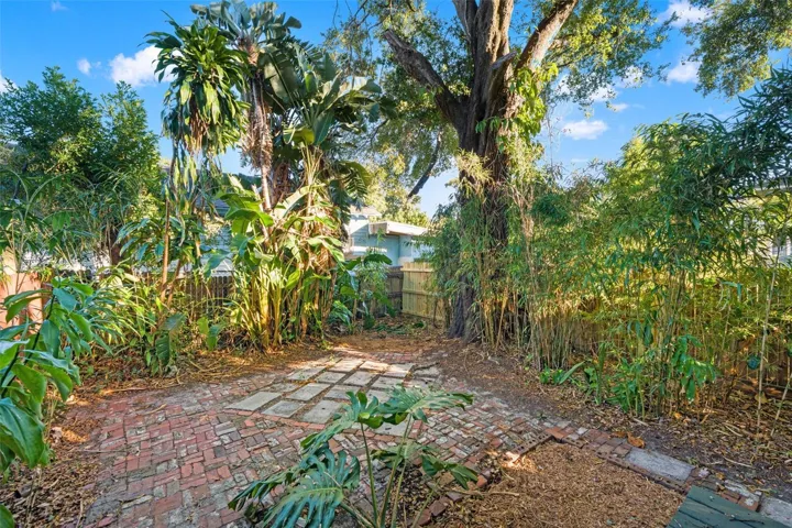 Backyard - south unit