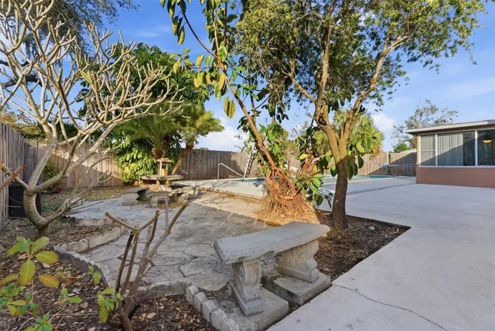 Back yard
