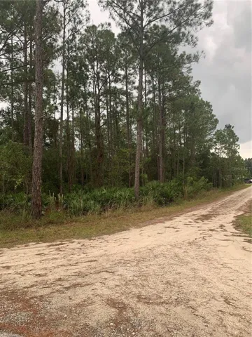 side dirt road