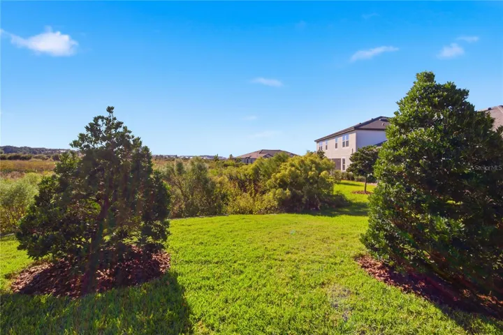 Peaceful and tranquil