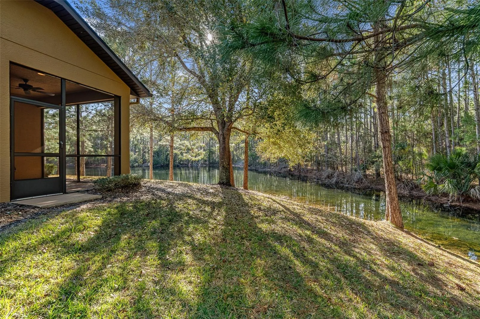 Double Preserve Lot