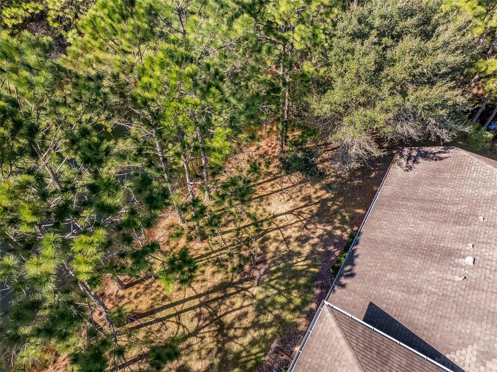 Aerial View of Backyard