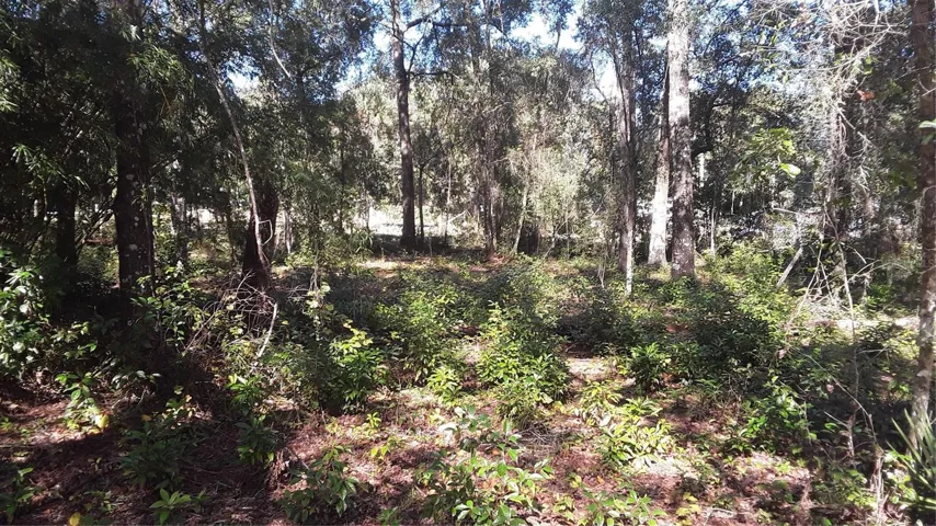 Photo from the road