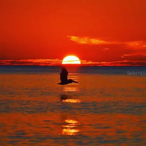 Sunset.