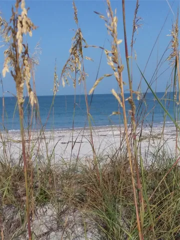 Short Drive to your Relaxation Get-a-way!