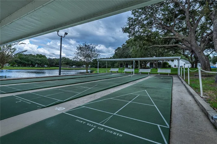 Shuffleboard