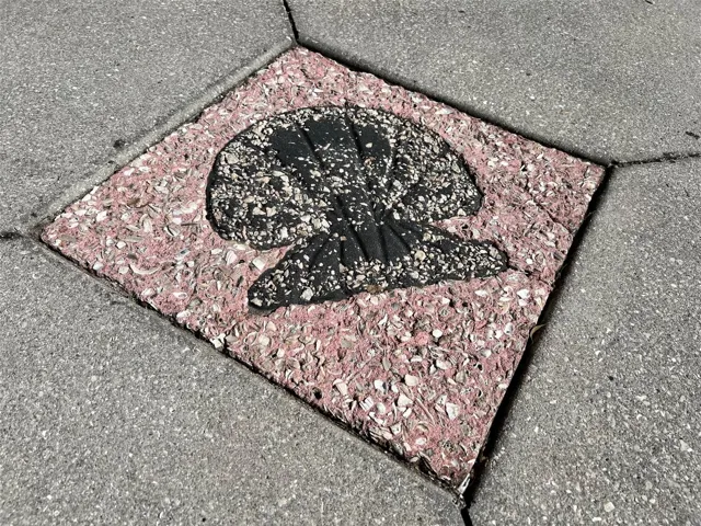 1170