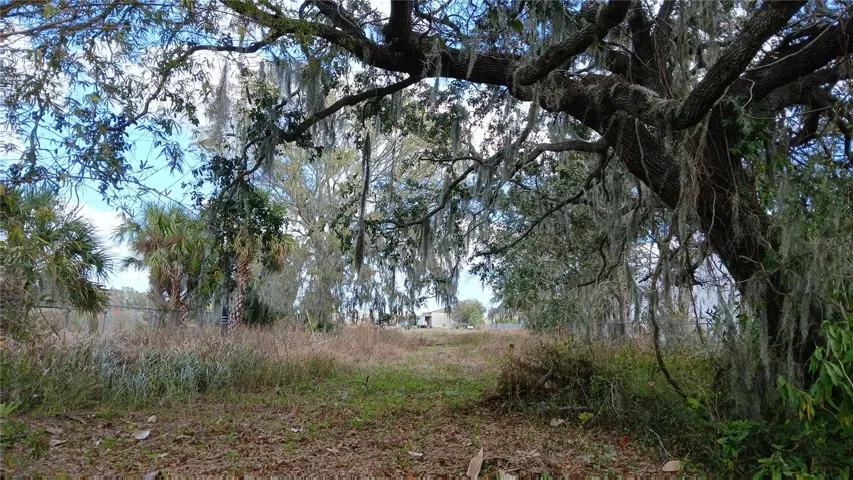Furthest West end of property