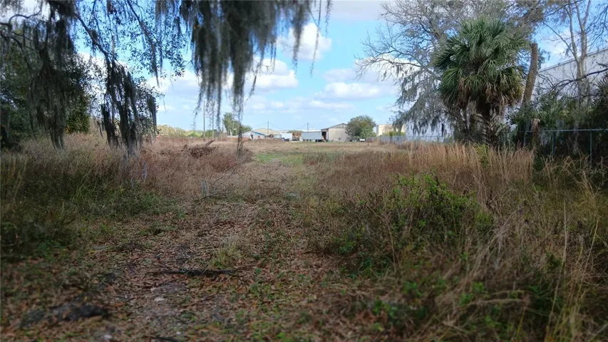 West side of the property looking East