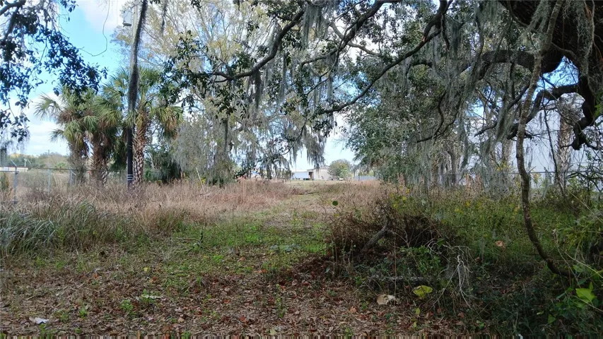 West side of property looking East