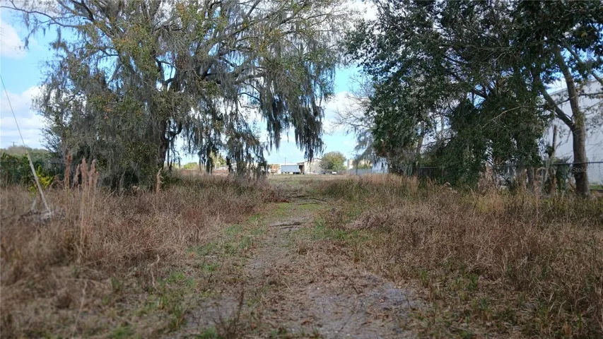 West side of the property looking East