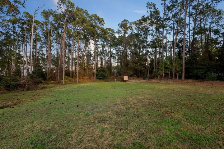 BACKYARD/SHOOTING RANGE