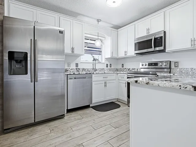 Stainless Steel Appliances
