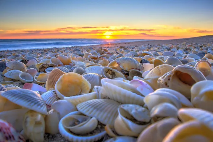 Beautiful Sunsets