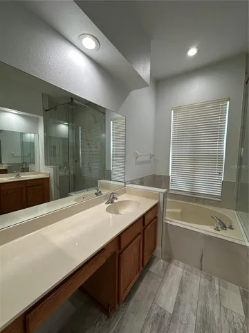 Primary Bathroom Vanity