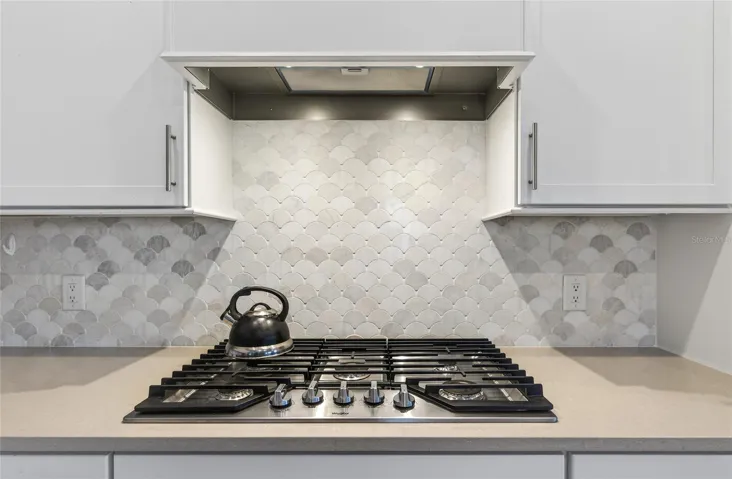 Gas Stove