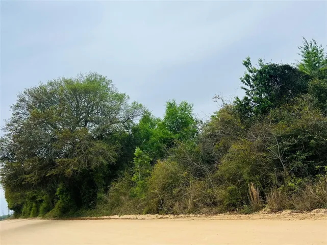 Wooded