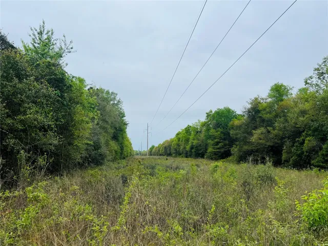 Easement