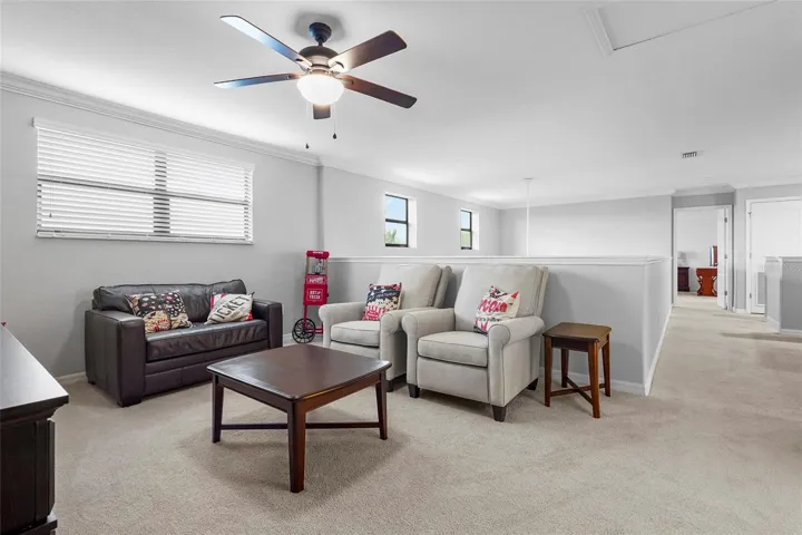 Loft Area