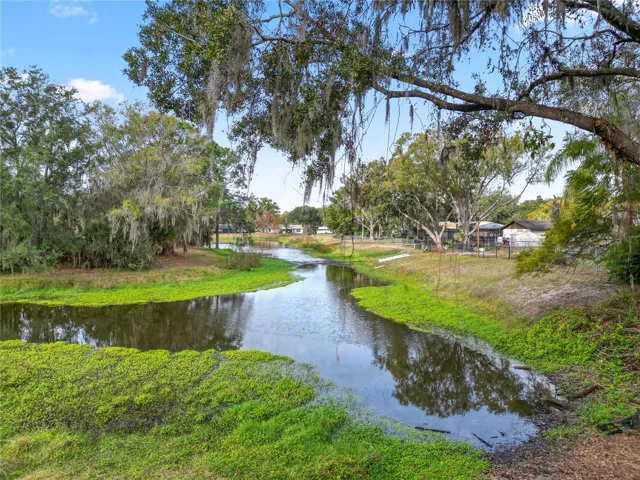 View of the Pond from the Backyard.