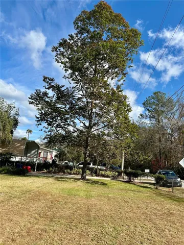 55730 Holiday Cir Owners Pride & Joy; Rainbow Eucalyptus Tree