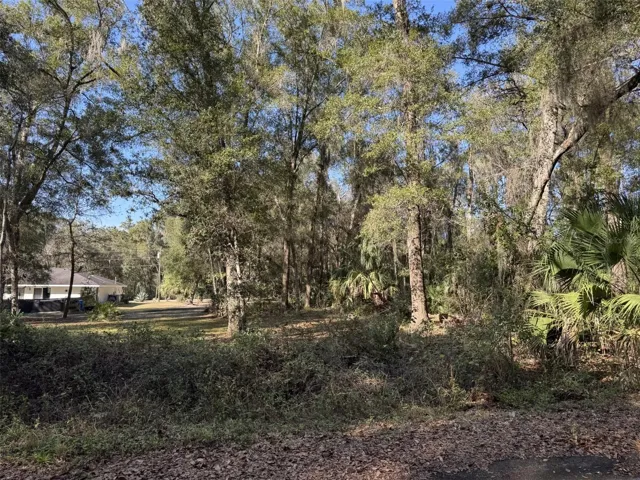 Lightly Wooded .26 Acre Lot