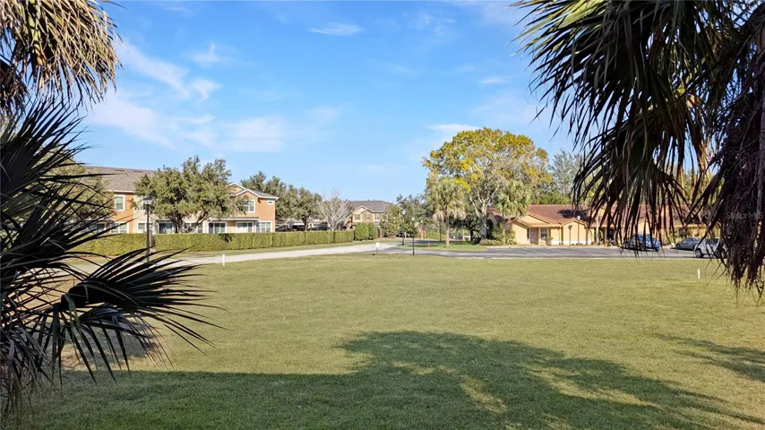 View from your back Patio... This is your BACKYARD!