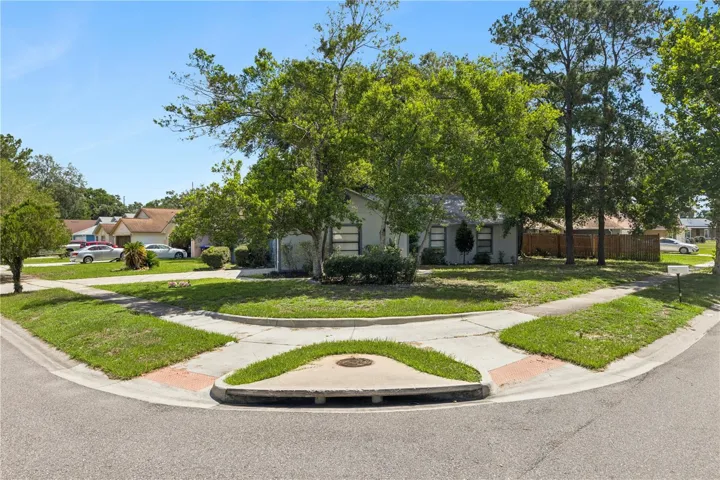 Corner Lot View